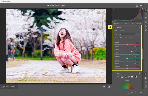 Camera Raw 필터에서 색상 혼합 조정하기