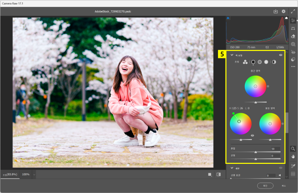 Camera Raw 필터에서 색 보정 조정하기