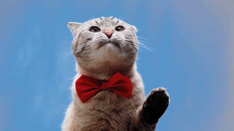 GIF 생성 및 GIF 자르기 완성 이미지