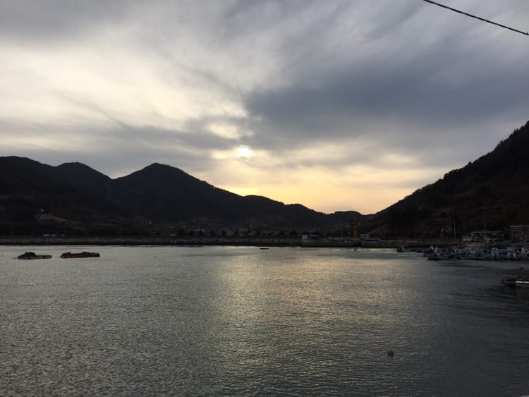역광 사진 밸런스 맞추기 Before