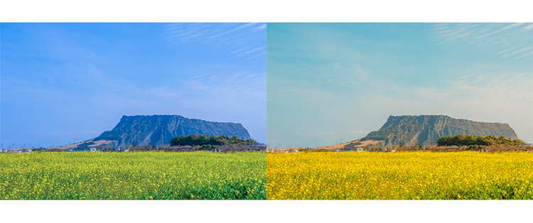 색온도 조정 차이 비교