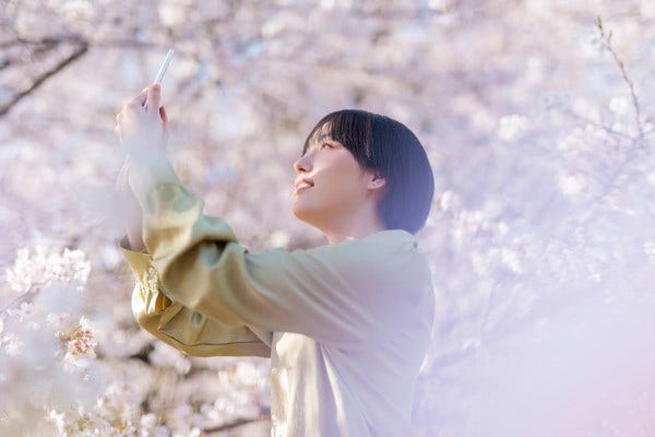 벚꽃축제 즐기며 벚꽃사진 찍는 여성