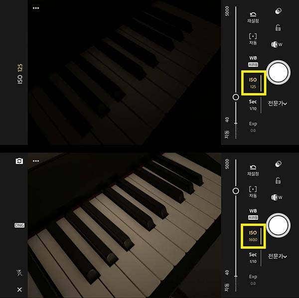 ISO 카메라 입문