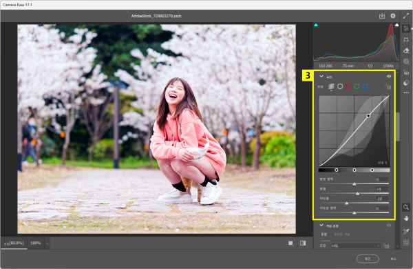 Camera Raw 필터에서 곡선 조정하기