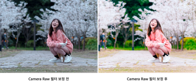 어도비 포토샵 Camera Raw 필터 보정 전후 비교