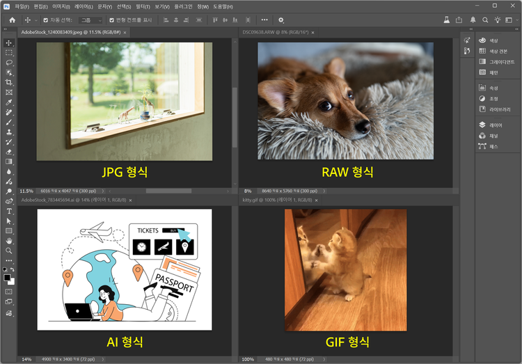 이미지 뷰어 프로그램 선택할 때 고려해야 할 사항