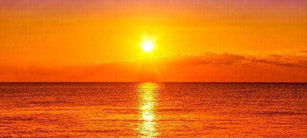 사진 구도 잡기