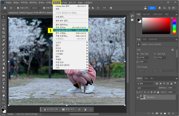 Camera Raw 필터 열기