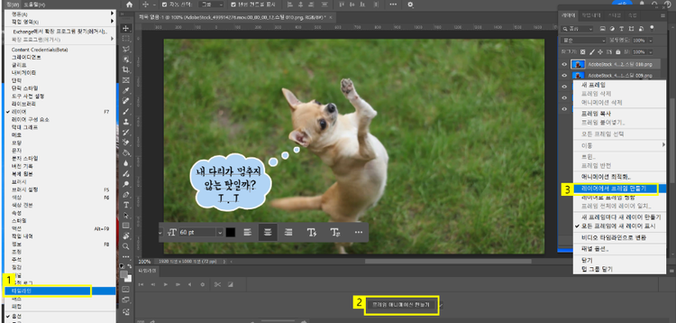 타임라인 만들기