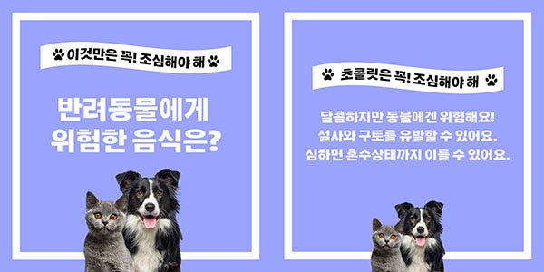 카드뉴스 Q&A 템플릿 표지와 본문