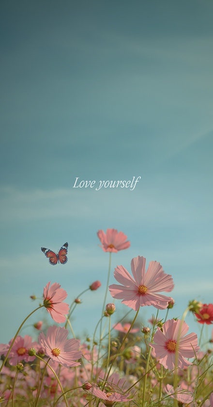 템플릿 수정해 핸드폰 배경화면 만들기