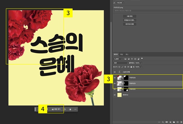 카네이션 이미지 추가하기
