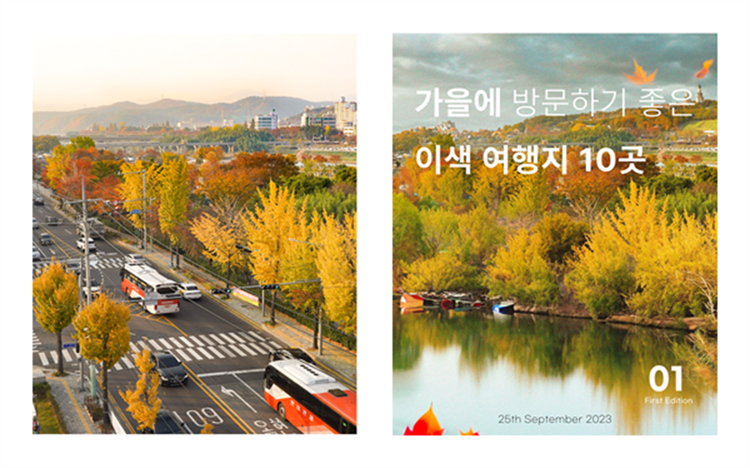 인공지능 사진 활용해 카드뉴스 제작 하기