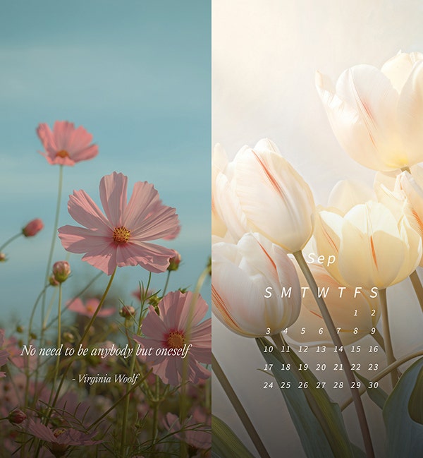 핸드폰 배경화면 템플릿