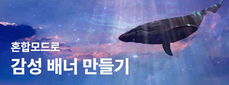 고래 이미지와 하늘 배경을 합성한 웹 배너 이미지