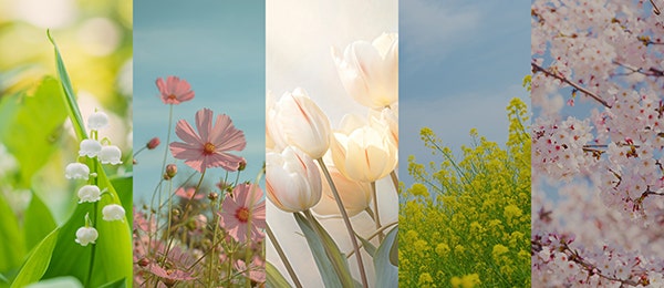 핸드폰 배경화면 템플릿에 포함된 꽃 배경화면 예시