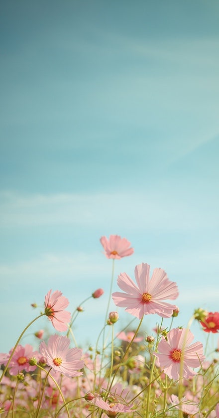 생성형 채우기 기능으로 빈 공간 채운 사진