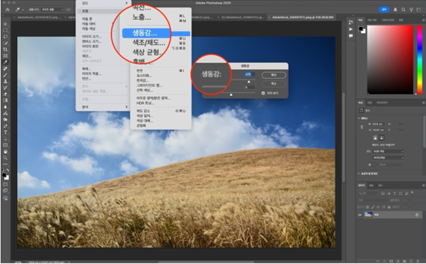 포토샵 풍경 사진 생동감(Vibrance) 조절