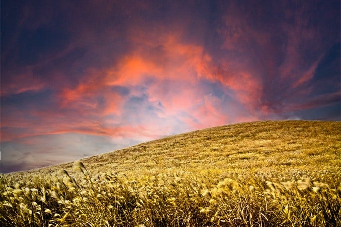 포토샵 풍경 사진 보정 After