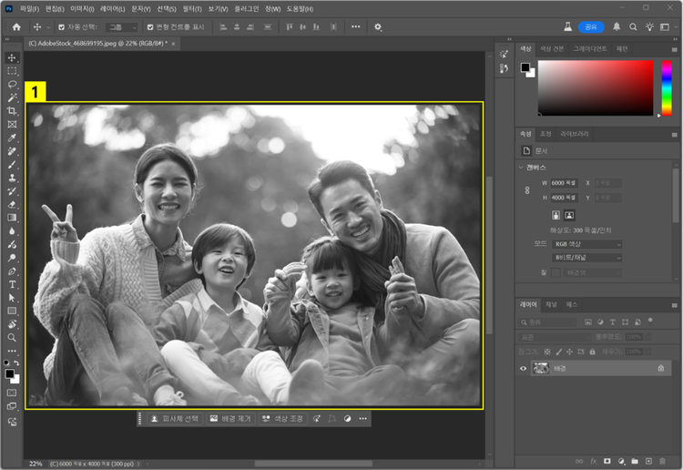 뉴럴 필터로 흑백 사진 복원하기