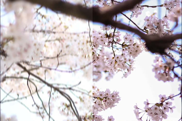 셔터 스피드 비교