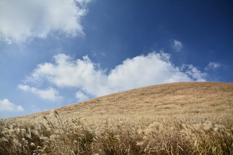 포토샵 풍경 사진 보정 Before