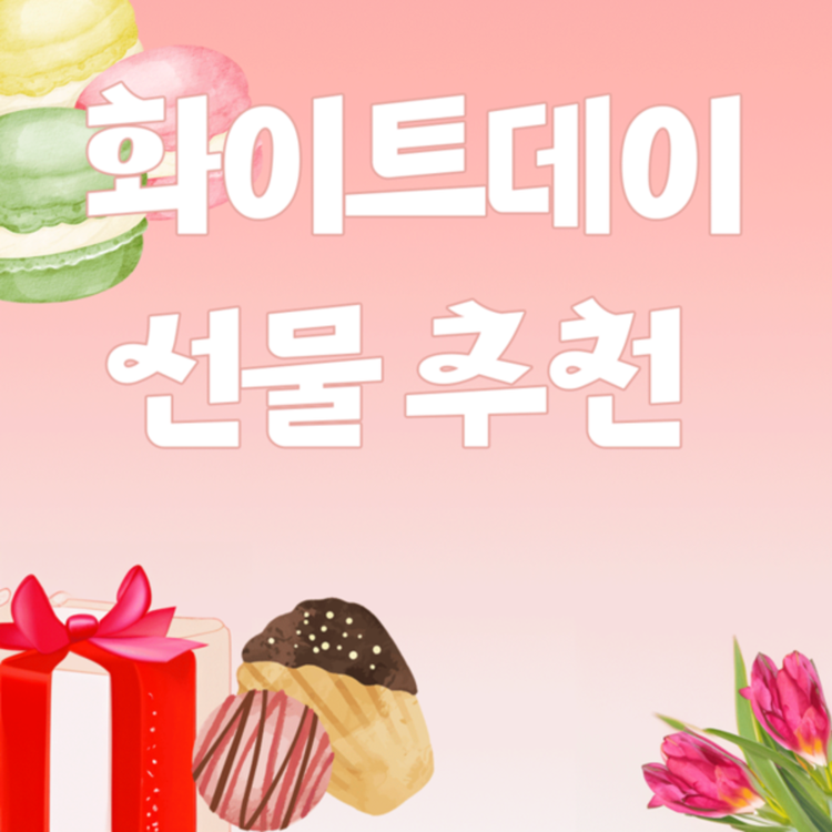 텍스트 도구를 활용해 가시성이 좋은 카드뉴스 만들기
