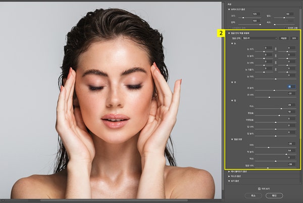 얼굴 인식 픽셀 유동화의 상세 슬라이더를 조정해서 인물 보정하기