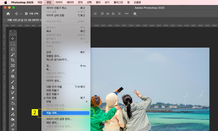 하늘 대체 선택