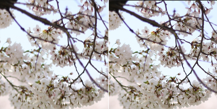 셔터 속도를 선명하게 보정하기 전과 후