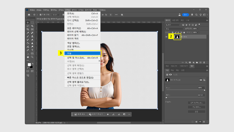 레이어 마스크 선택
