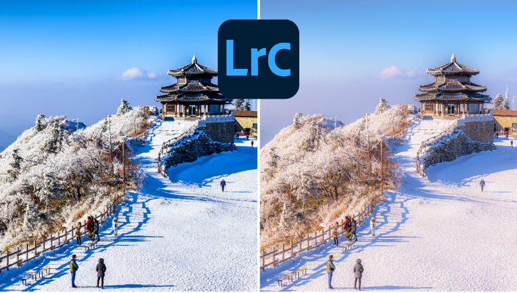 라이트룸으로 야외 사진 색감 보정하기