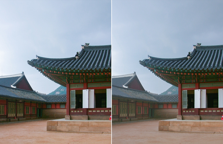 라이트룸에서 조리개, 심도, 노출, 대비로 조정하기 전과 후