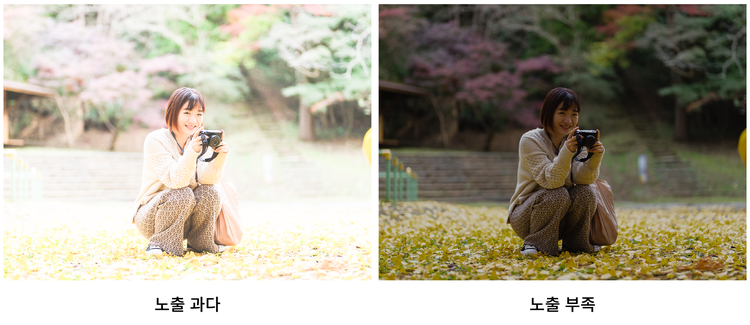 노출 과다와 노출 부족 예시 이미지