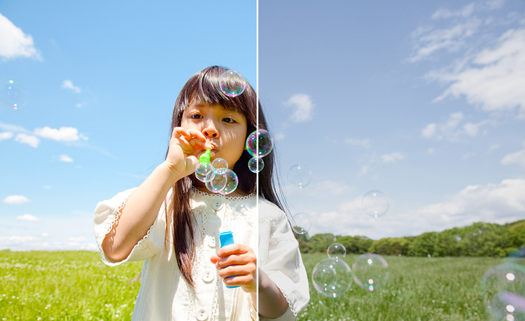 자연사진 촬영 예시