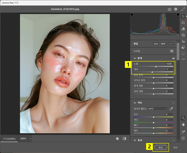 Camera Raw 필터로 노출 및 대비 조정하고 적용하기