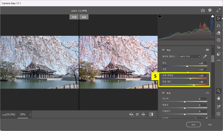 생동감, 채도 조정하여 생기 있는 연출하기