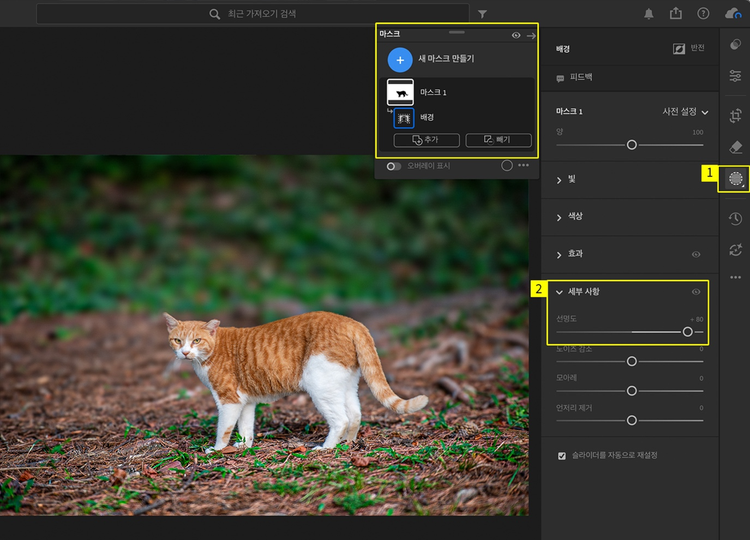 라이트룸에서 조리개 심도 낮추기
