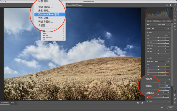 포토샵 풍경 사진 명료도(Clarity) 조절