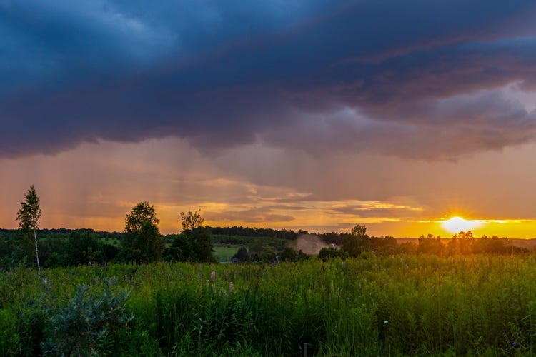 빛과 그림자의 명암 조절을 통해 자연의 모습을 사진으로 담기