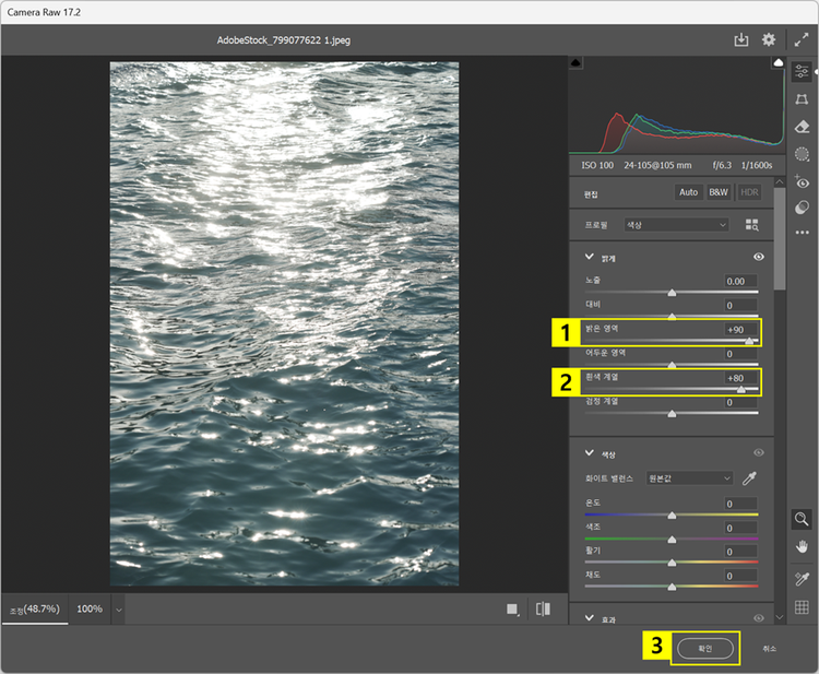 Camera Raw 필터 창에서 하이라이트 조정하기