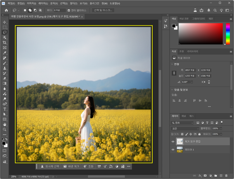 포토샵 AI 제거 기능으로 불필요한 요소 지운 결과