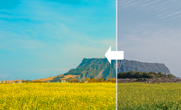 자연광 풍경 사진 보정하기