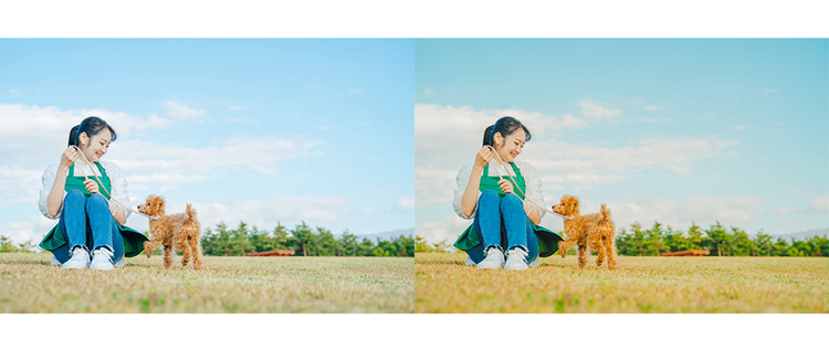 자연광 사진 보정 전후 비교