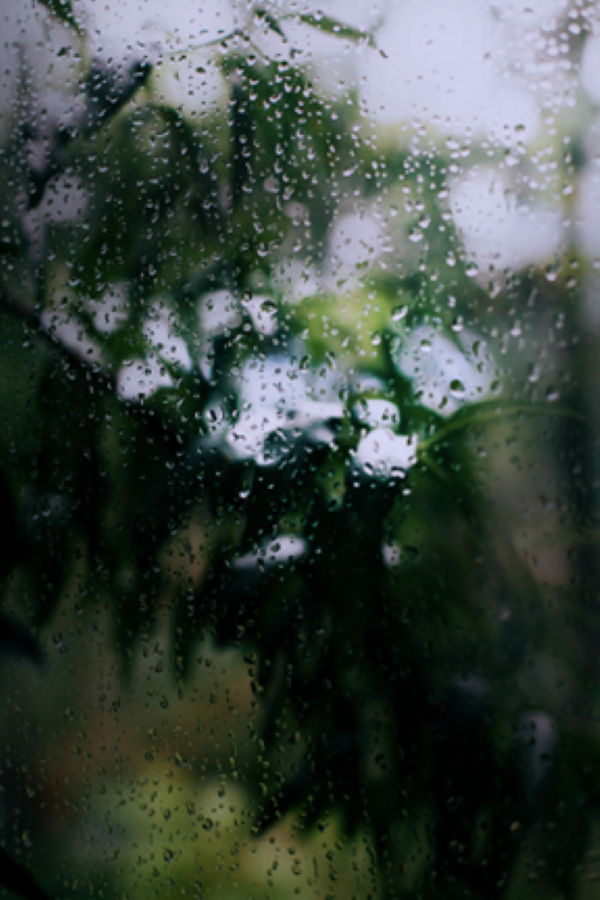 포토샵으로 비 사진 보정한 결과