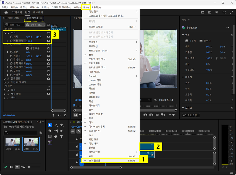 프리미어 프로로 MP4 영상 확대하여 자르기
