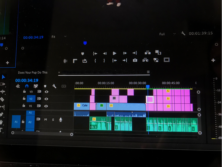 전문 영상압축프로그램 프리미어 프로