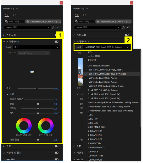 Lumetri 색상 패널에서 Look 선택하기