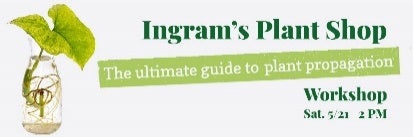 Green & Gray Plant Propagation Image Cut Out Event Banner