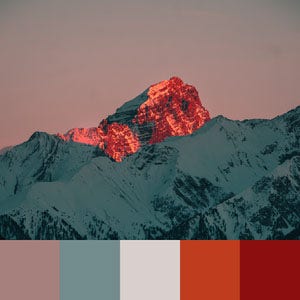Color Palettes | Earthy 5 101가지 컬러 조합 디자인 트렌드